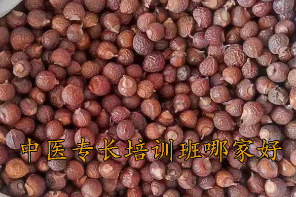 连云港中医专长培训班哪家好