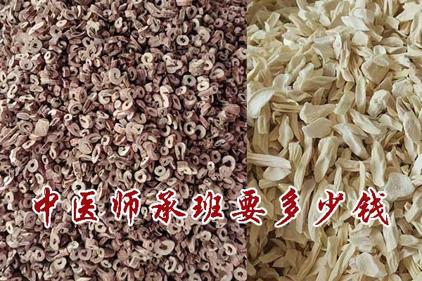 中医师承班要多少钱？和上大学比贵吗？