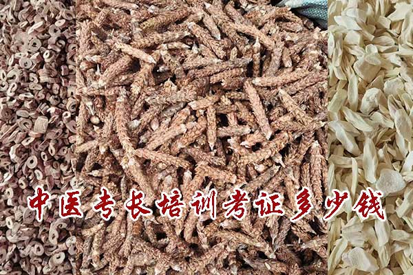 中医专长培训考证多少钱