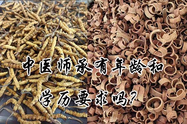 中医师承有年龄和学历要求吗？