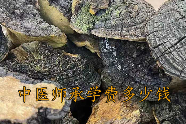 上海中医师承机构学费多少