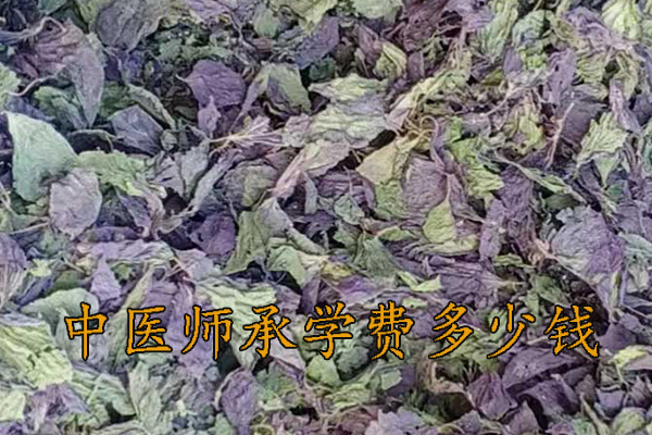 重庆中医师承学费多少钱