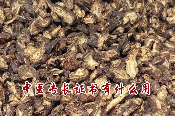 中医专长证书有什么用