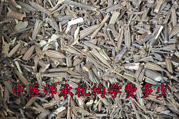 保定中医师承学费多少钱