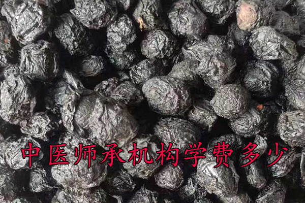 唐山中医师承学费一年多少钱