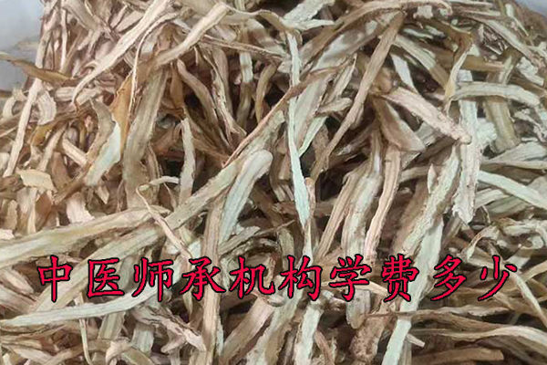 秦皇岛中医师承机构学费多少