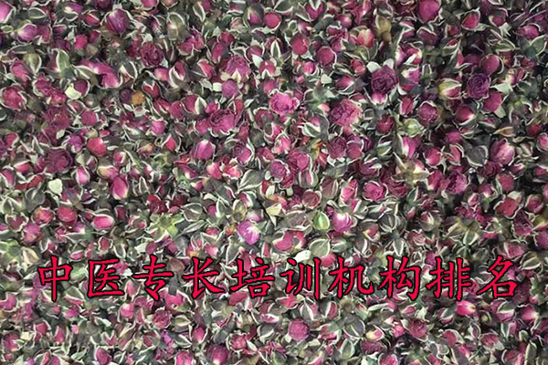 镇江中医专长培训费用