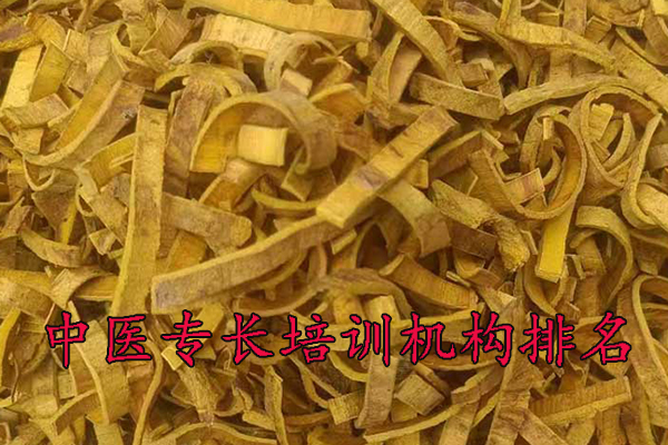 江阴中医专长培训机构可靠吗