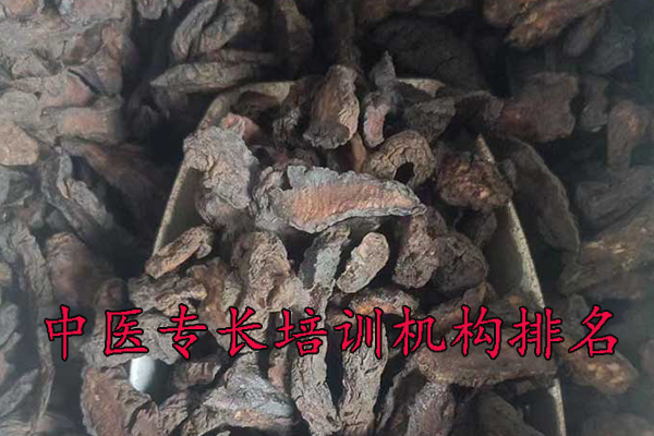 张家港中医专长培训机构排名前十