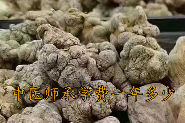 沧州中医师承学费一年多少钱