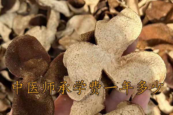 廊坊中医师承机构学费多少