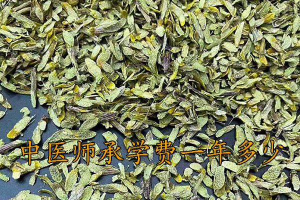 邢台中医师承学费多少钱