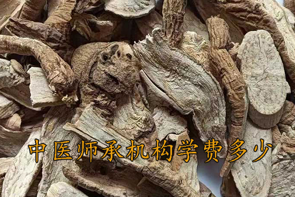 衡水中医师承学费一年多少钱