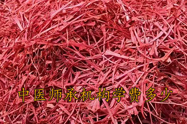 呼和浩特中医师承机构学费多少