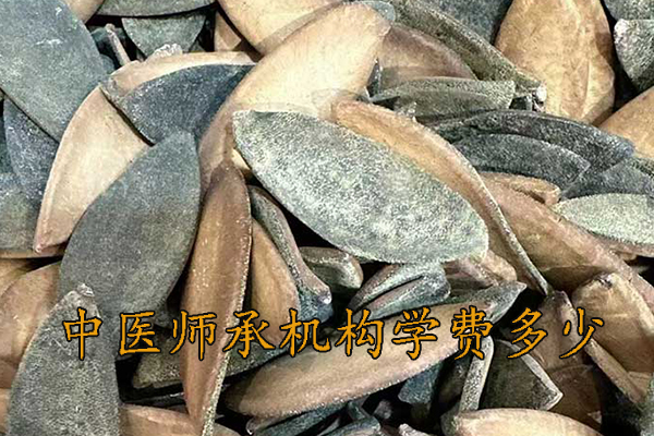 鄂尔多斯中医师承学费一年多少钱