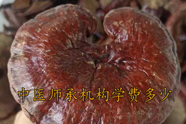 包头中医师承学费多少钱