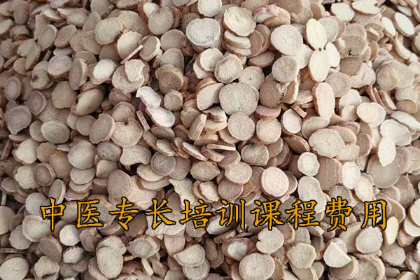 芜湖中医专长培训课程费用