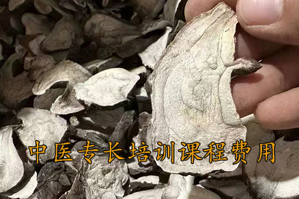 滁州中医专长培训机构有哪些