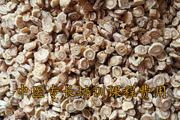 阜阳中医专长培训费用