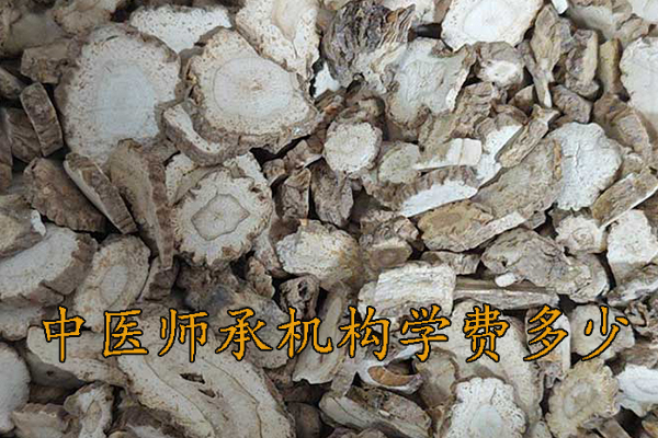 通辽中医师承学费一年多少钱