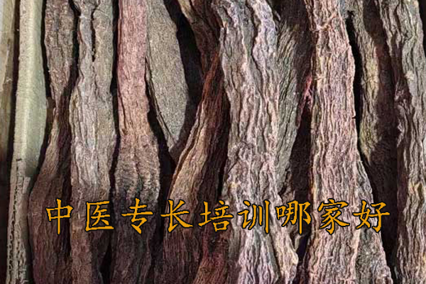 宣城中医专长培训哪家好