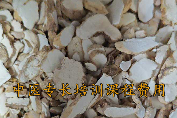 厦门中医专长培训班哪家正规