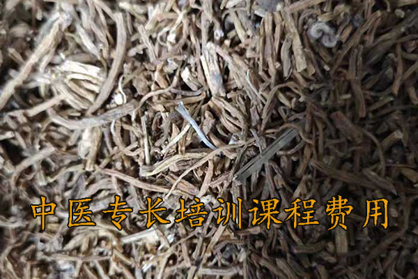 泉州中医专长培训课程费用