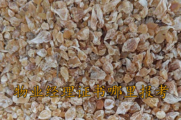 吕梁中医师承学费一年多少钱