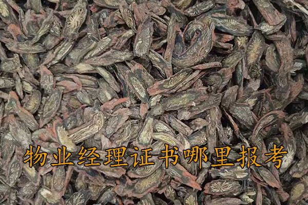 朔州中医师承机构学费多少