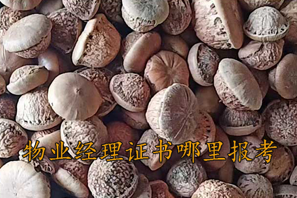 晋中中医师承学费多少钱