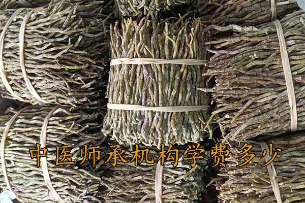 沈阳中医师承机构学费多少