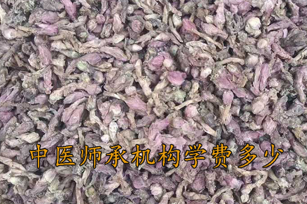 大连中医师承学费多少钱