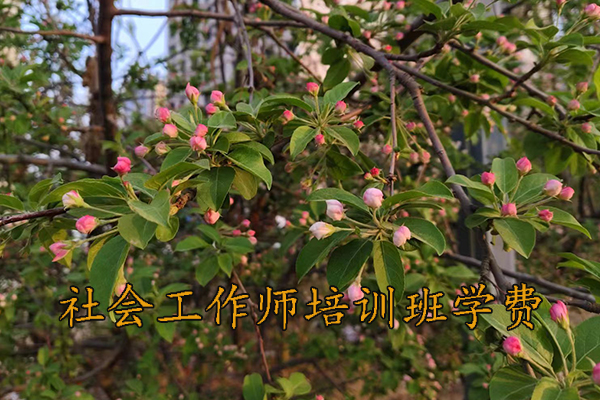 淮安社会工作师培训班报名条件