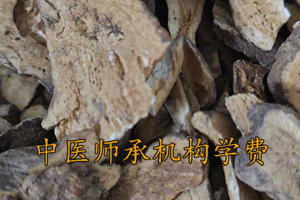 锦州中医师承学费一年多少钱