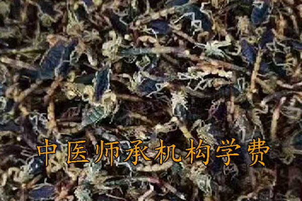 鞍山中医师承学费多少钱