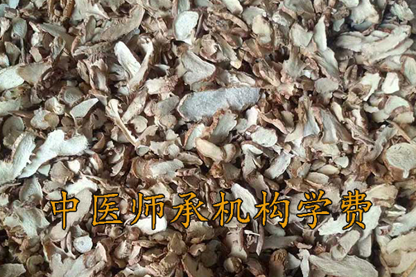 丹东中医师承学费一年多少钱