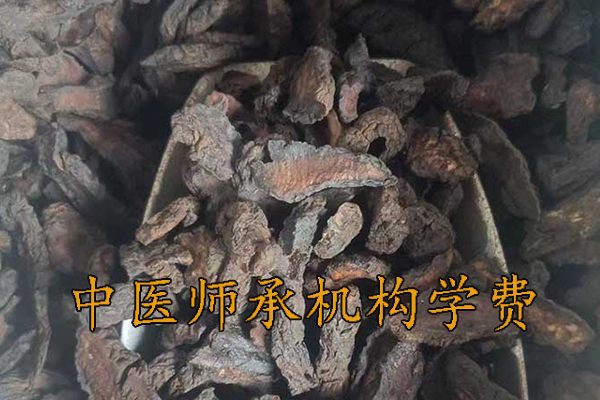 营口中医师承机构学费多少