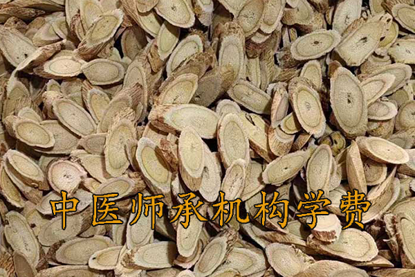 朝阳中医师承学费多少钱