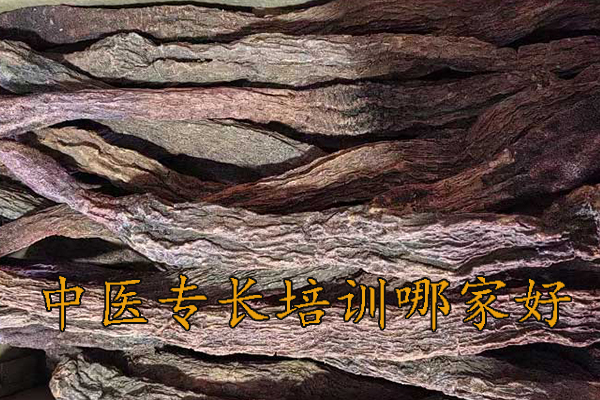 南平中医专长培训哪家好