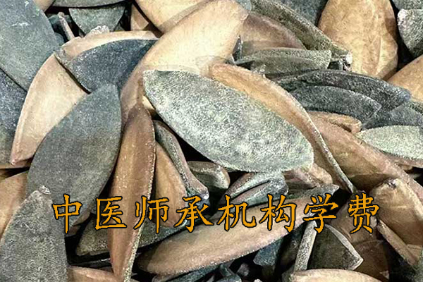 四平中医师承学费多少钱