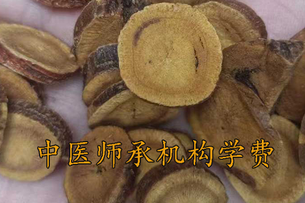 哈尔滨中医师承机构学费多少