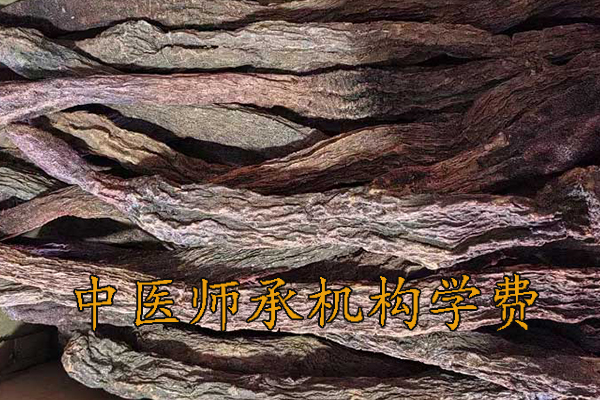 大庆中医师承学费多少钱