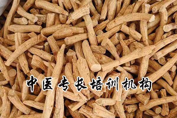 中医专长培训机构怎么选择？