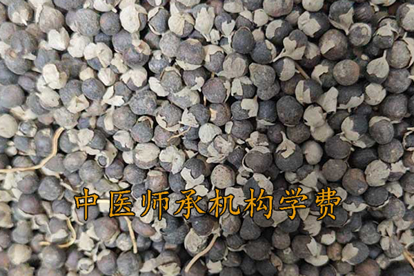 济南中医师承学费一年多少钱