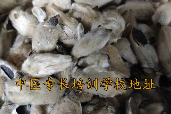 宜春中医专长培训课程费用