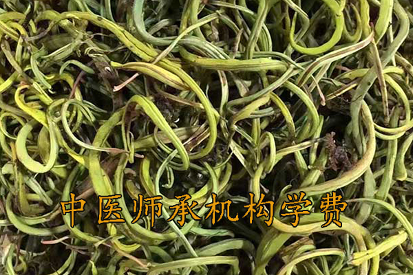 临沂中医师承学费多少钱