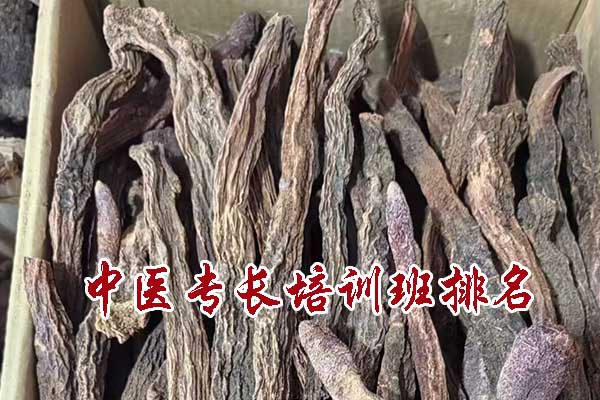 中医专长培训班排名大揭秘，你选对了吗？