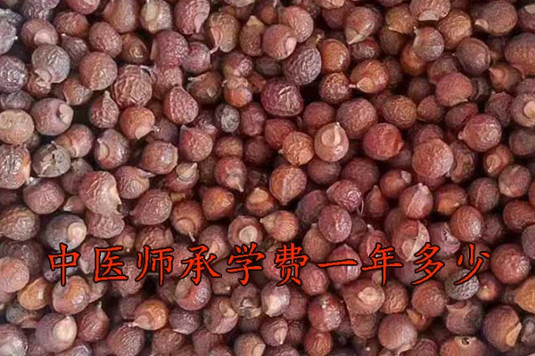 德州中医师承学费一年多少钱