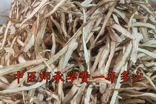 枣庄中医师承学费多少钱