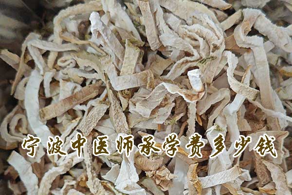 宁波中医师承学费多少钱？地址？